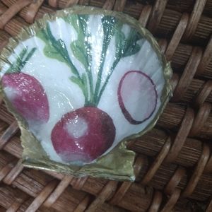 Small decopodgued sea shell